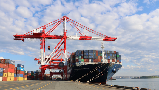 shipping containers at the Port of Halifax